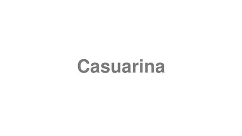 casuarina pronunciation meaning.